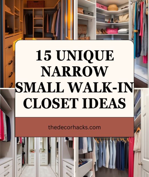 15 Unique Narrow Small Walk-In Closet Ideas