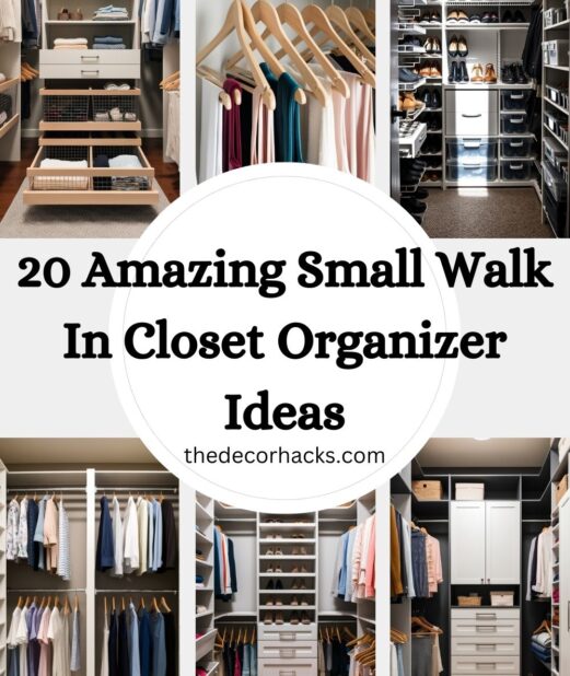 20 Amazing Small Walk In Closet Organizer Ideas