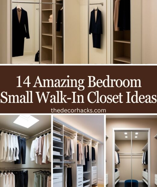 Amazing Bedroom Small Walk-In Closet Ideas